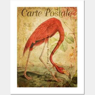The Flamingo - Vintage French Postcard Posters and Art